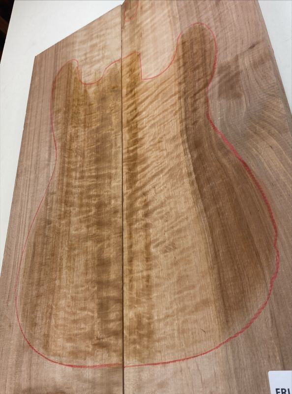 Body Alder, European, 2-pcs., Unique Piece #055
